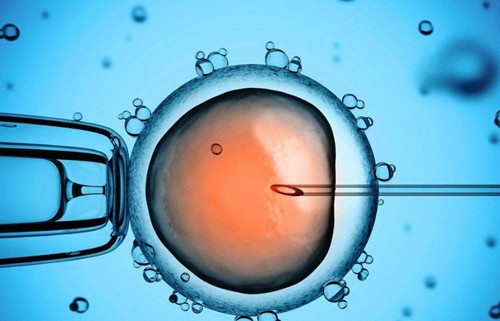 深圳供卵试管中心排行：深圳可以做供卵试管婴儿吗？